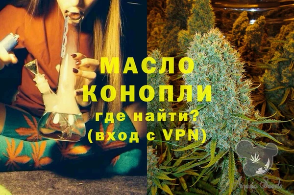 индика Армянск