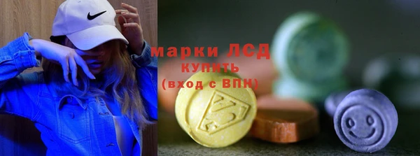 индика Армянск