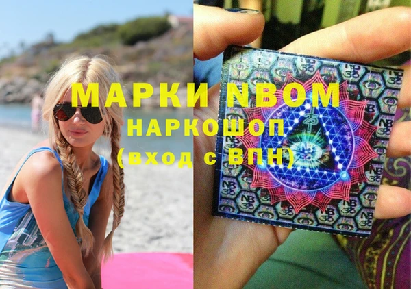 индика Армянск