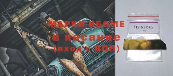 индика Армянск