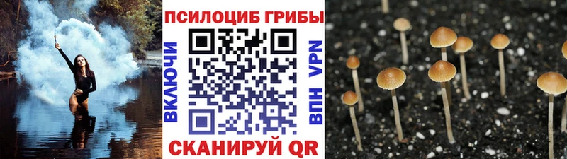 хочу   Кемерово  Псилоцибиновые грибы ЛСД 